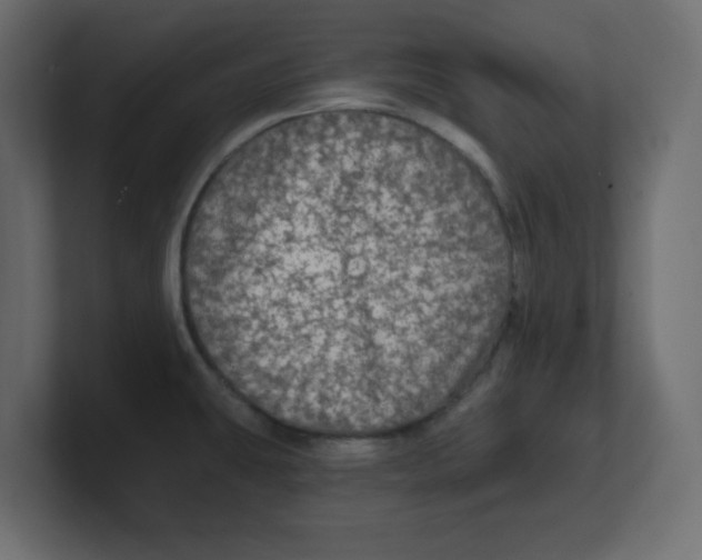 X0000100371431200806271435