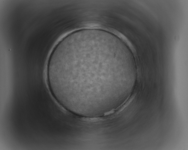 X0000100371432200806271435