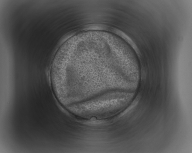 X0000100371433200806271435