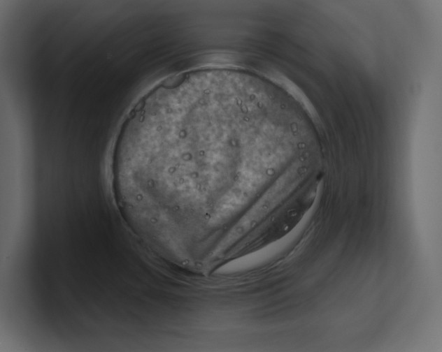 X0000100371435200806271435