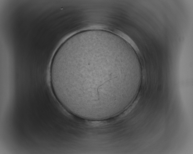 X0000100371436200806271435