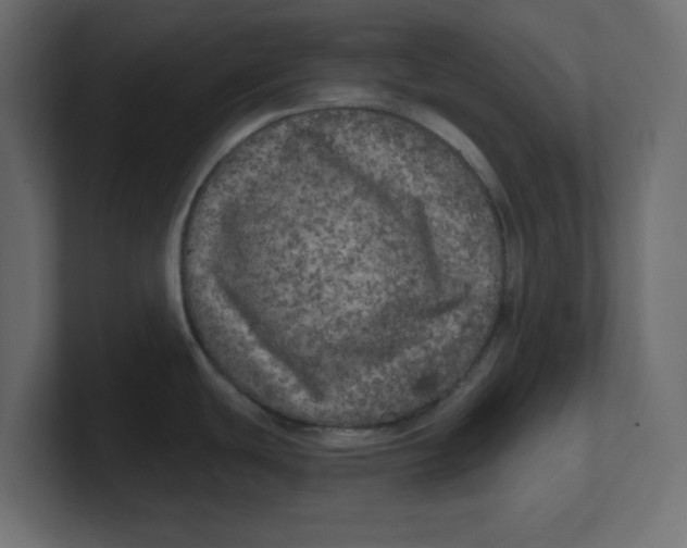 X0000100371439200806271435