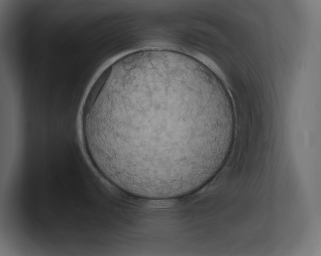 X0000100371440200806271435