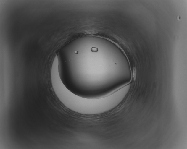 X0000100371444200806271434