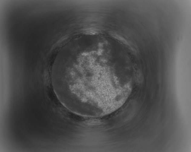 X0000100371446200806271434