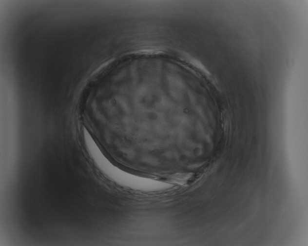 X0000100371448200806271434