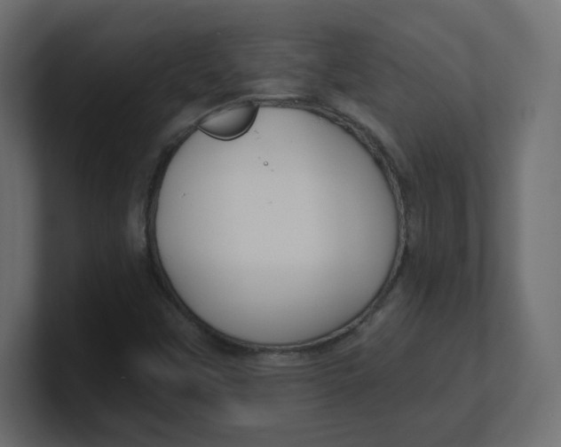 X0000100371451200806271434