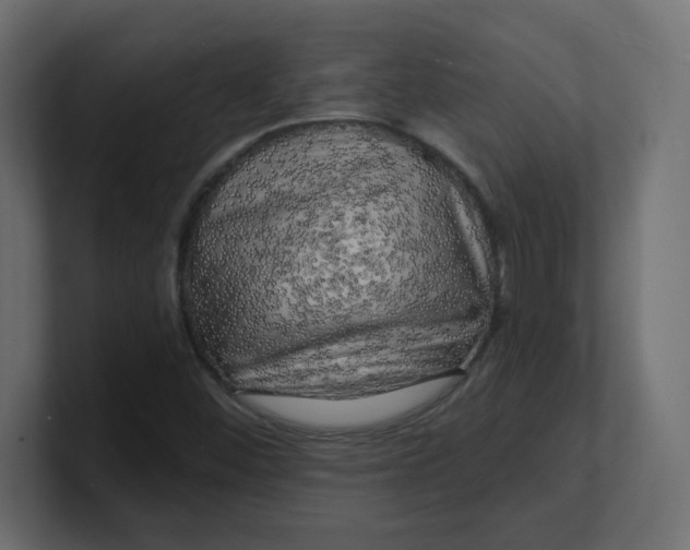 X0000100371452200806271434