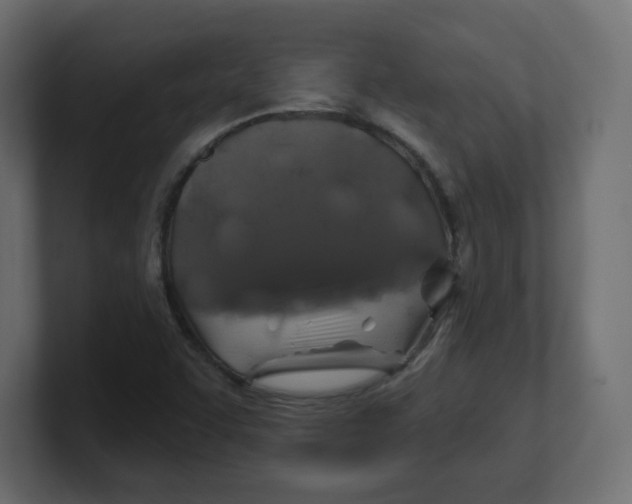 X0000100371455200806271434