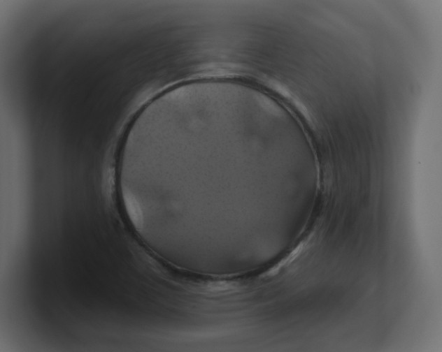 X0000100371459200806271434