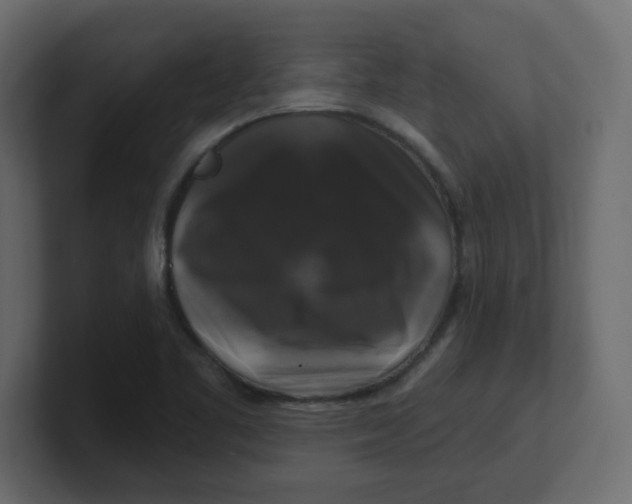 X0000100371461200806271434