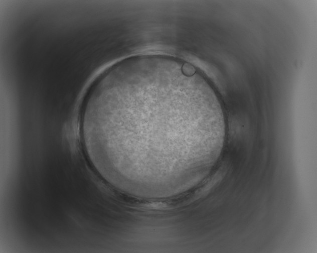 X0000100371462200806271434