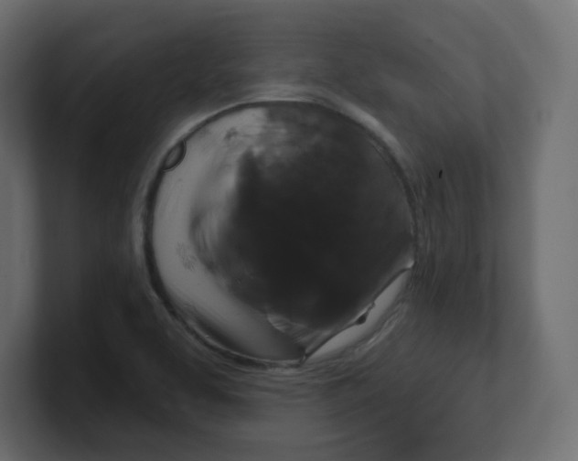 X0000100371463200806271434