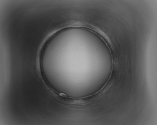 X0000100371464200806271434