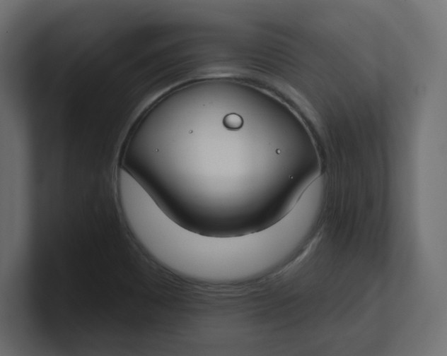 X0000100371465200806271434