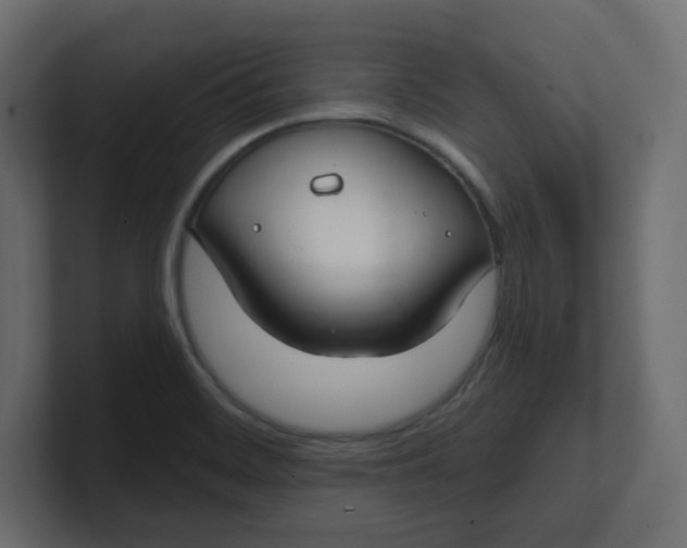 X0000100371468200806271434