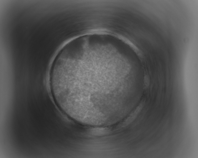 X0000100371470200806271434