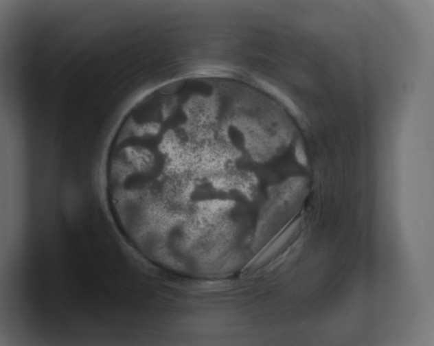 X0000100371471200806271434