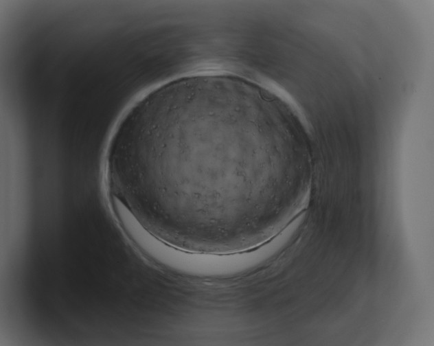 X0000100371472200806271434