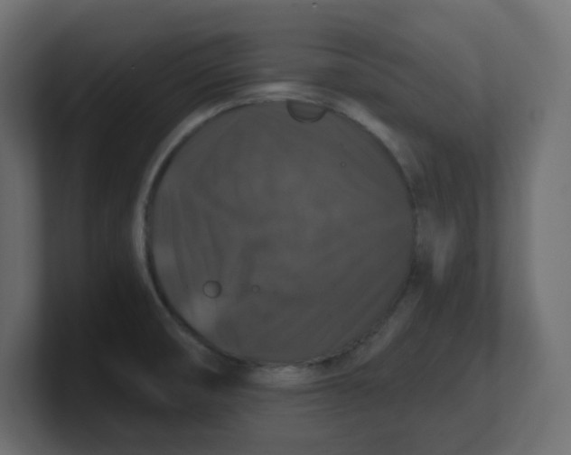 X0000100371474200806271434