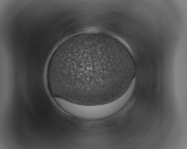 X0000100371475200806271434