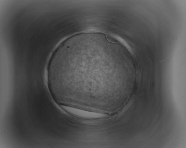 X0000100371476200806271434