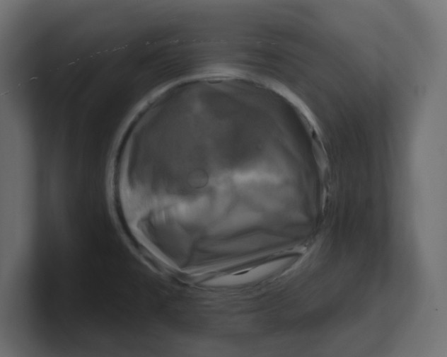 X0000100371477200806271434