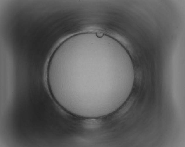 X0000100371478200806271434