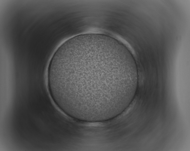 X0000100371479200806271434