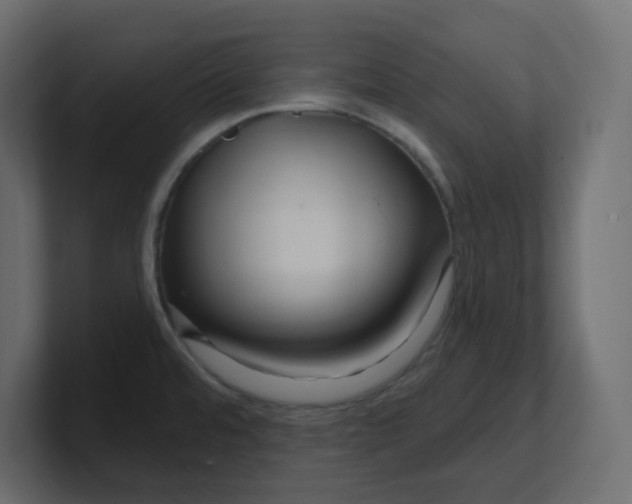 X0000100371480200806271434