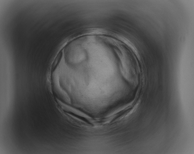 X0000100371481200806271434