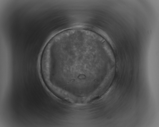 X0000100371483200806271434