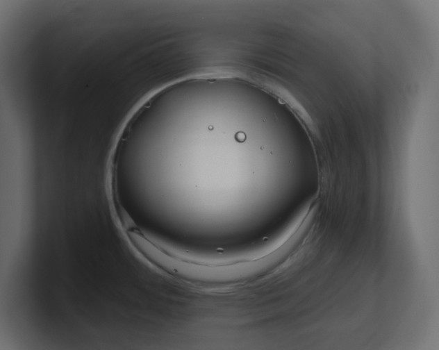 X0000100371484200806271434