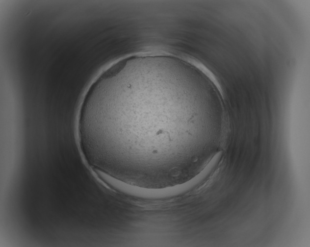 X0000100371485200806271434