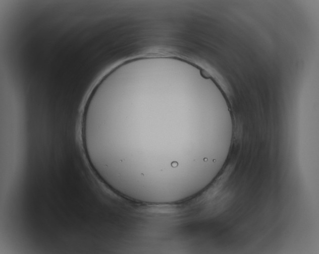 X0000100371486200806271434