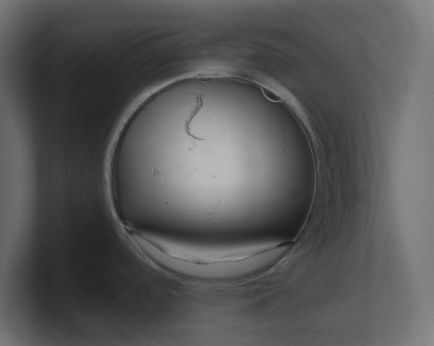 X0000100371488200806271434