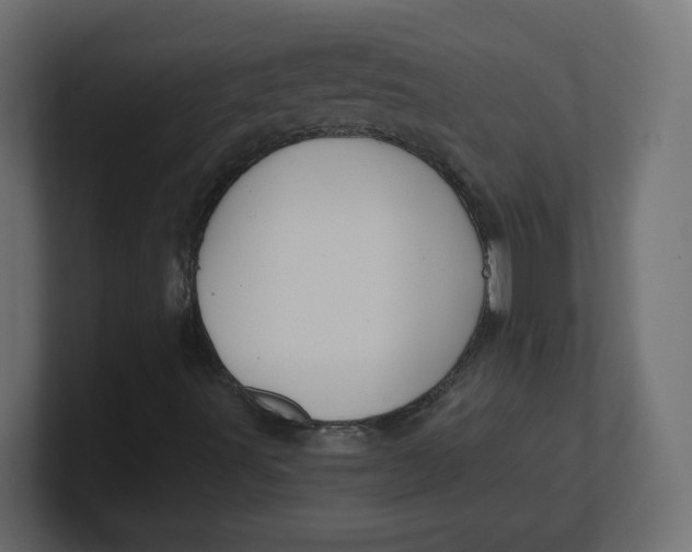 X0000100371491200806271433