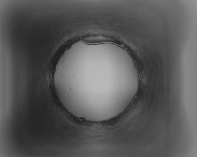 X0000100371495200806271433