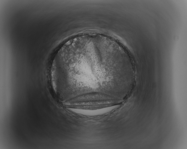 X0000100371496200806271433