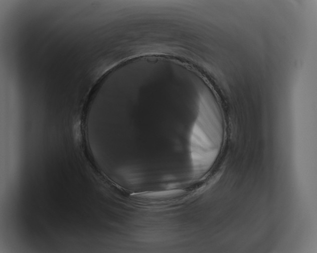 X0000100371497200806271433