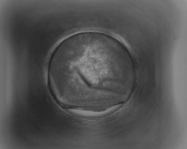 X0000100371504200806271433