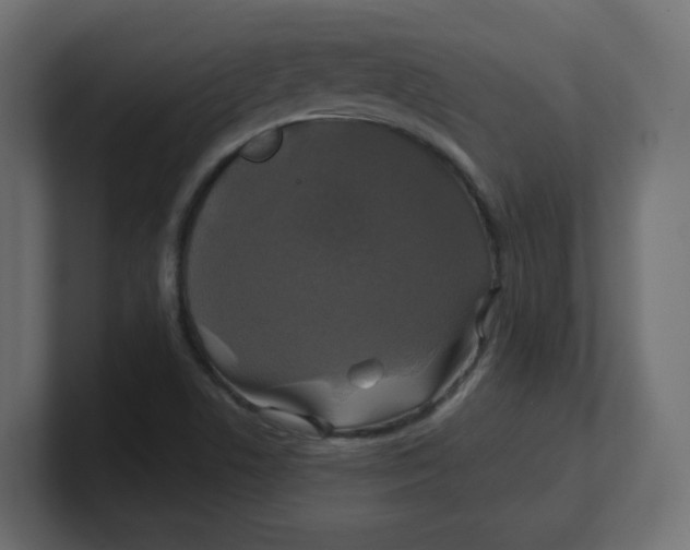 X0000100371506200806271433