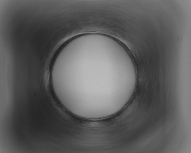 X0000100371507200806271433