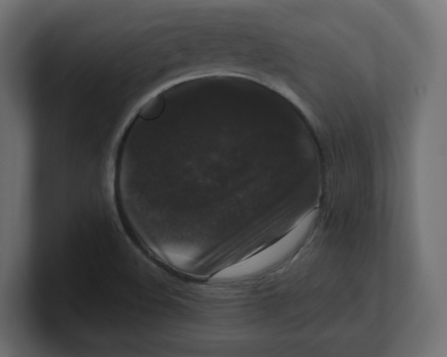 X0000100371508200806271433