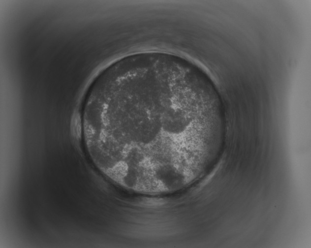 X0000100371509200806271433