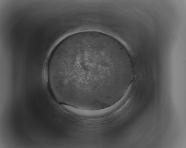 X0000100371510200806271433