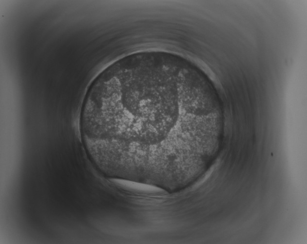 X0000100371513200806271434