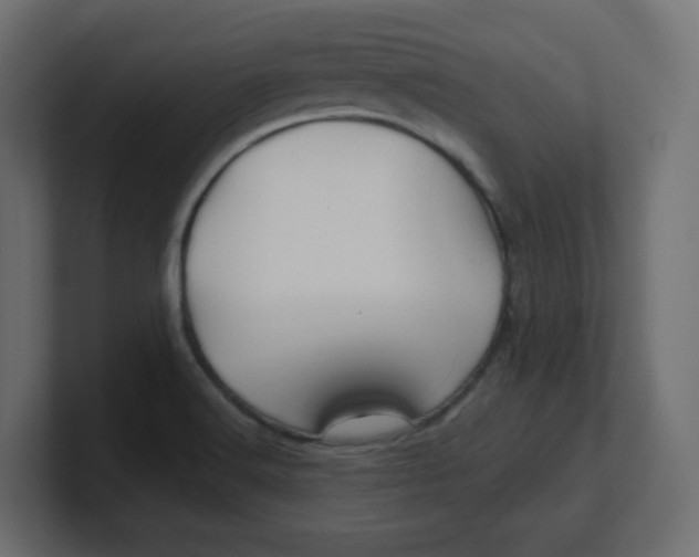 X0000100371516200806271434