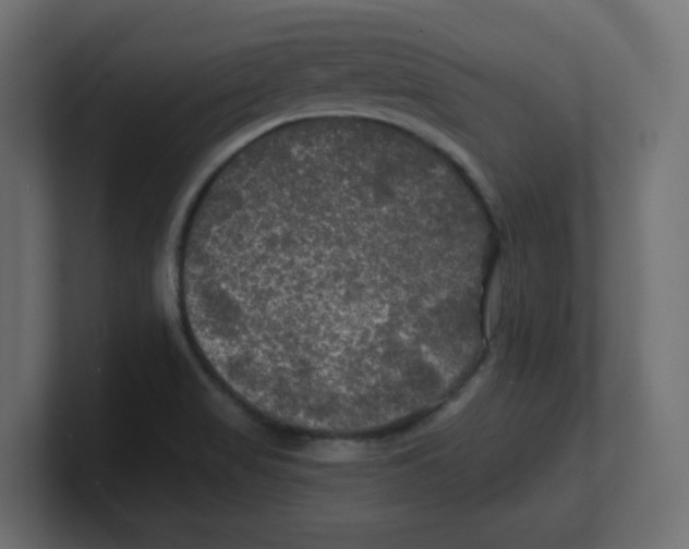 X0000100371517200806271434