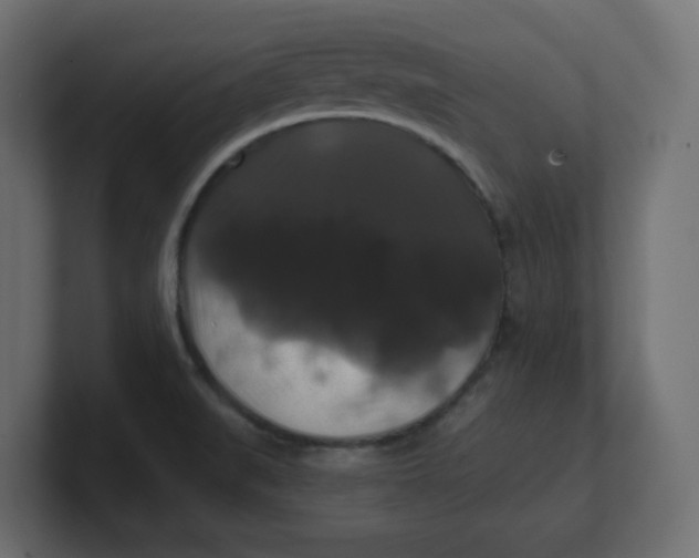 X0000100371519200806271434